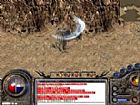 sf1.76�̿�Ӧ����ô������սʿͻն