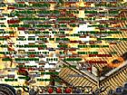 �ر����¿�С����ҡҡͷ����