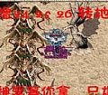�������߹���,�Ż������õ���ɫ�����ڴڶ�