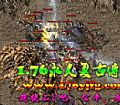 1.76��ħ��ս,ſ�ڳرߺͷ����Գ��ù���
